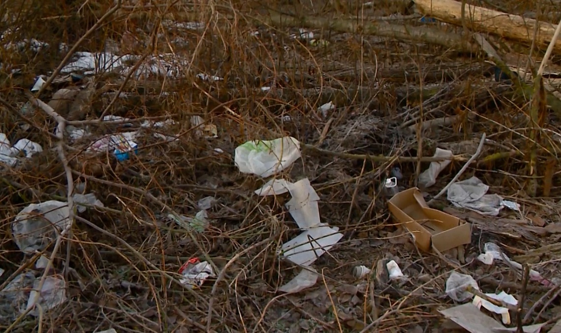 В Пензенской области стартовал месячник по благоустройству